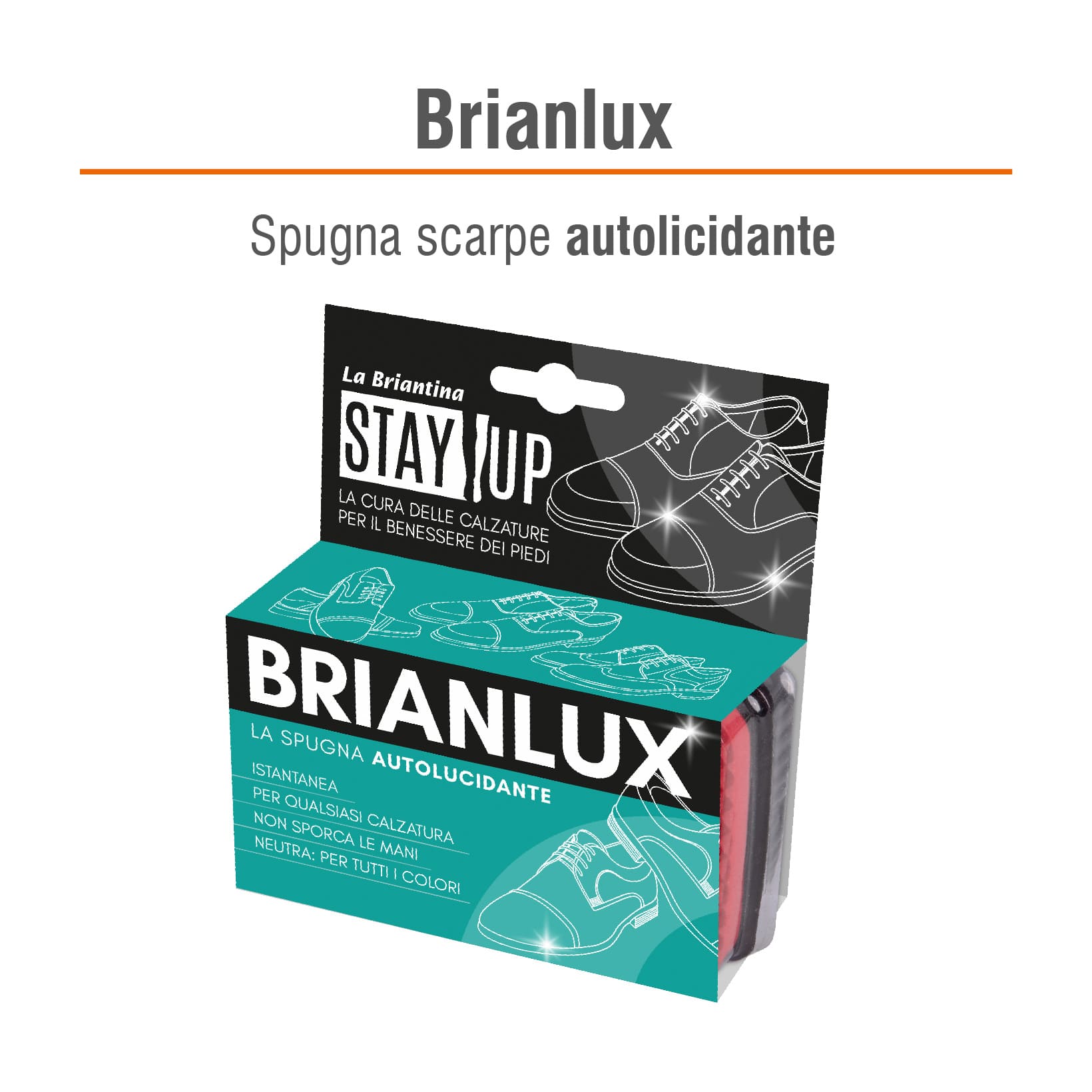 SPUGNA LUCIDANTE BRIANLUX