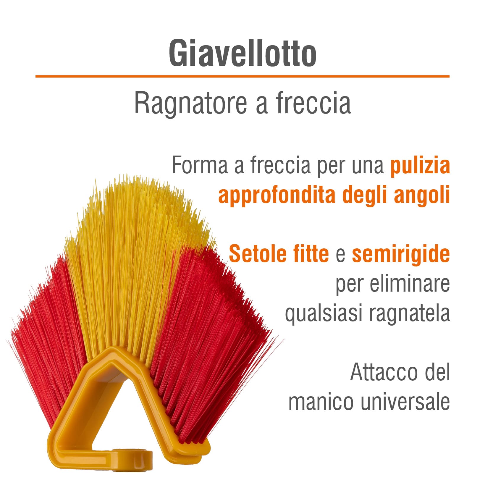 LEVA RAGNATELE GIAVELLOTTO