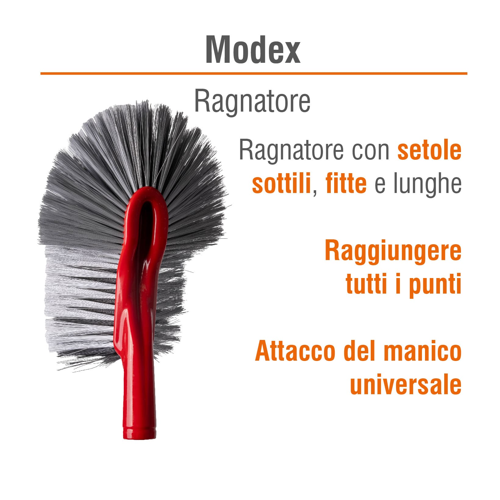 LEVA RAGNATELE MONDEX