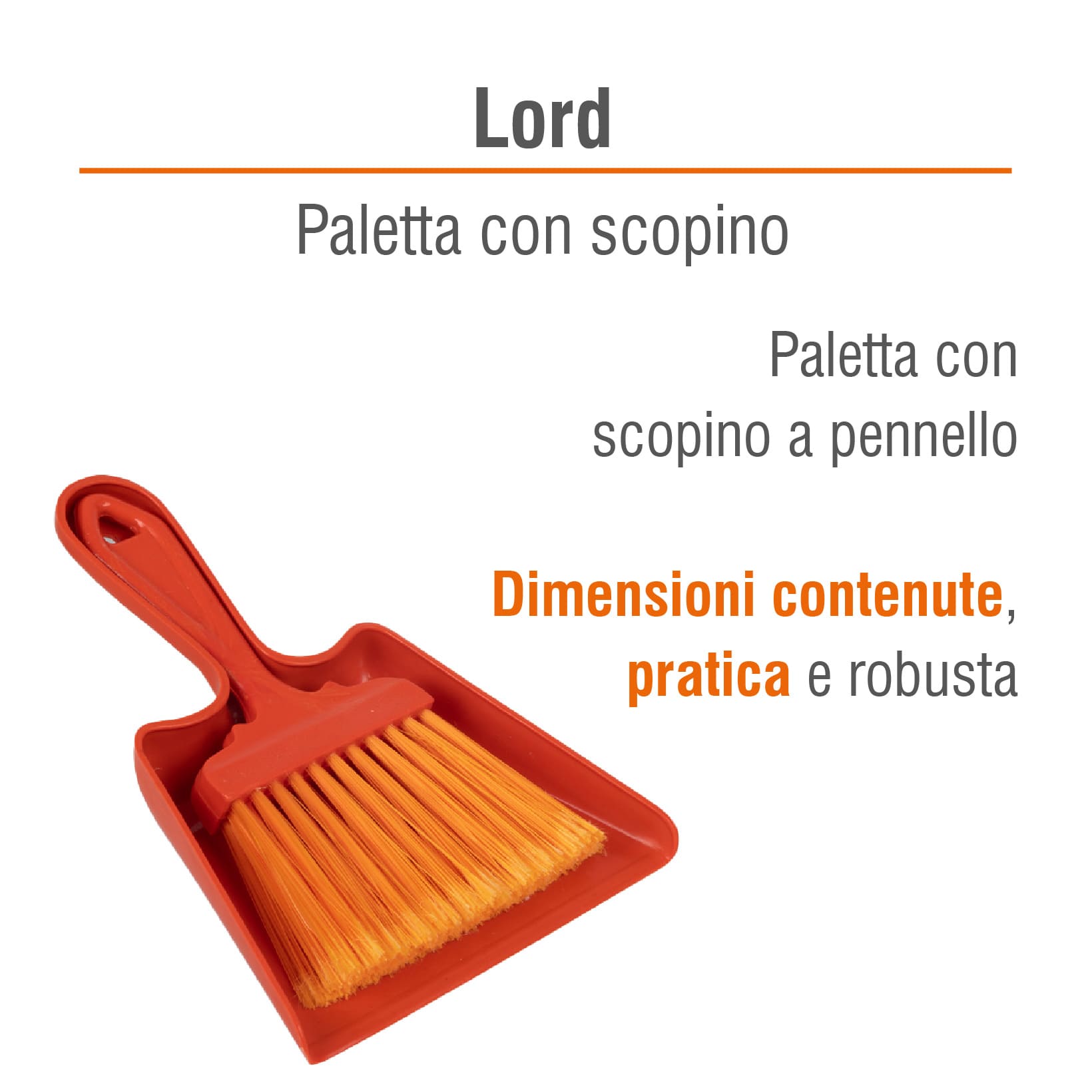 SET PALETTA LORD CON SCOPINO