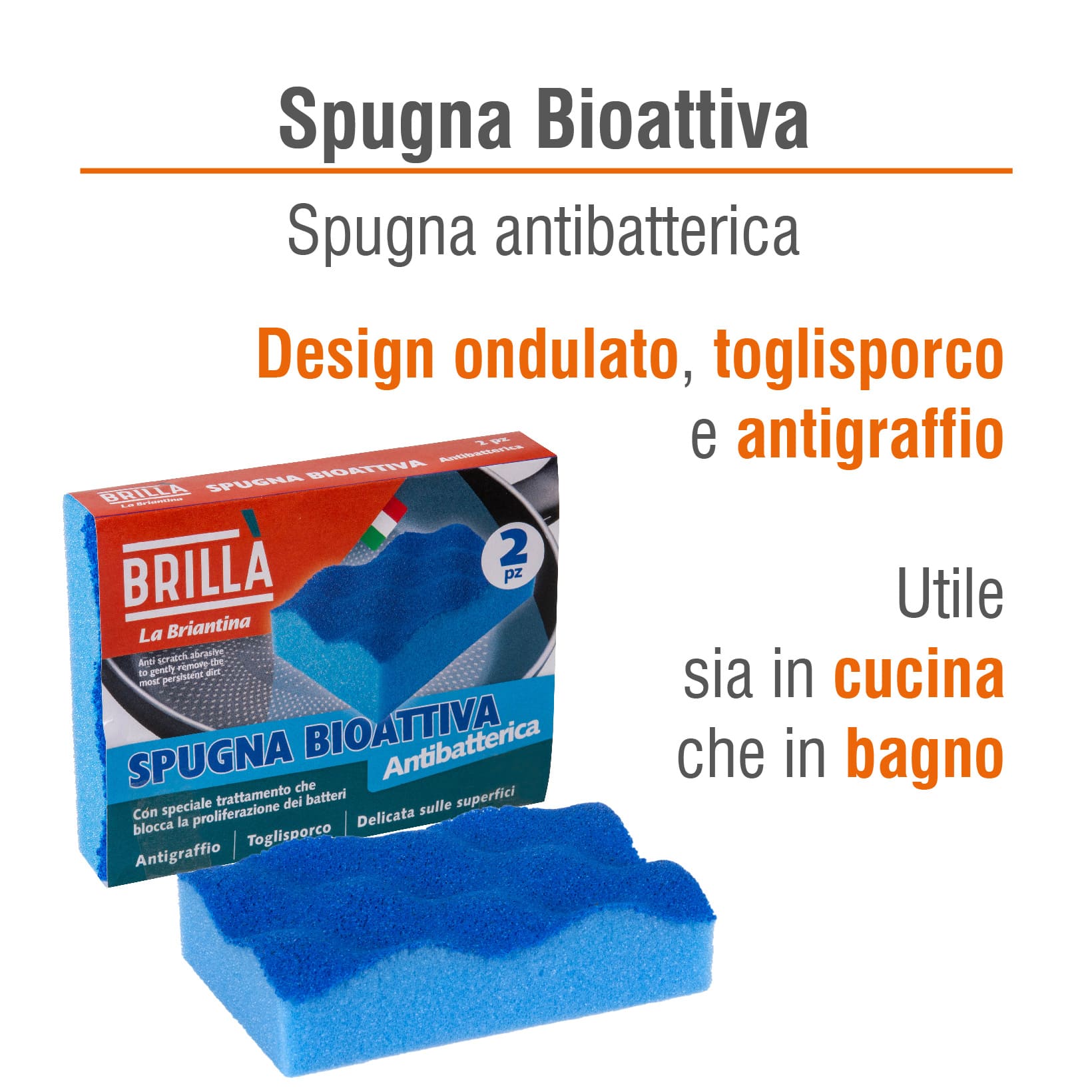 CONFEZIONE SPUGNE BIOATTIVE: 2 SPUGNE